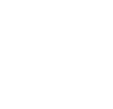 NVBDC-MVO Task Force
